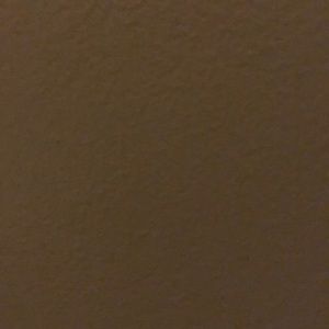 Meet your Posher, Bella